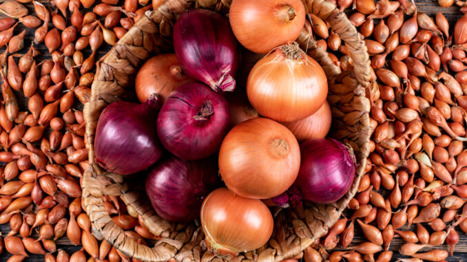 A basket of onions as well as onion seeds