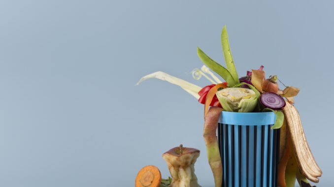arrangement-compost-made-rotten-food-with-copy-space