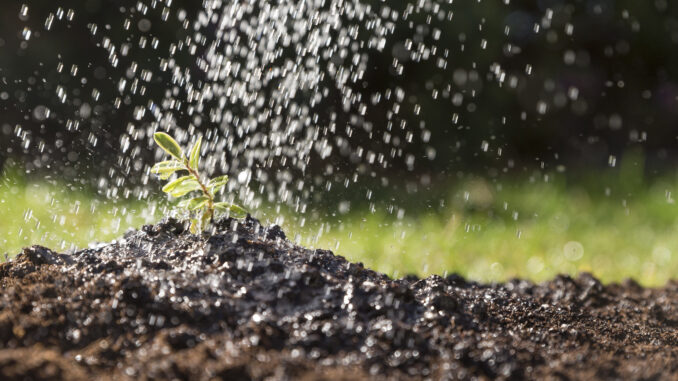 water-falling-plant Photo credit: Freepik